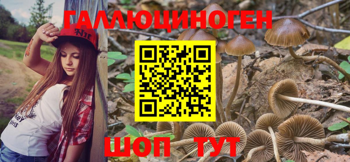 Мегион  Псилоцибиновые грибы MAGIC MUSHROOMS  Вход с VPN 
